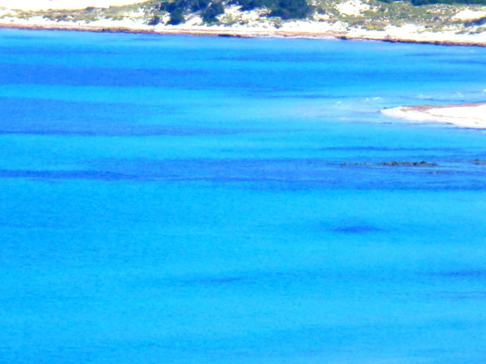 Comino Alto Agriturismo E Appartamenti Siniscola Esterno foto