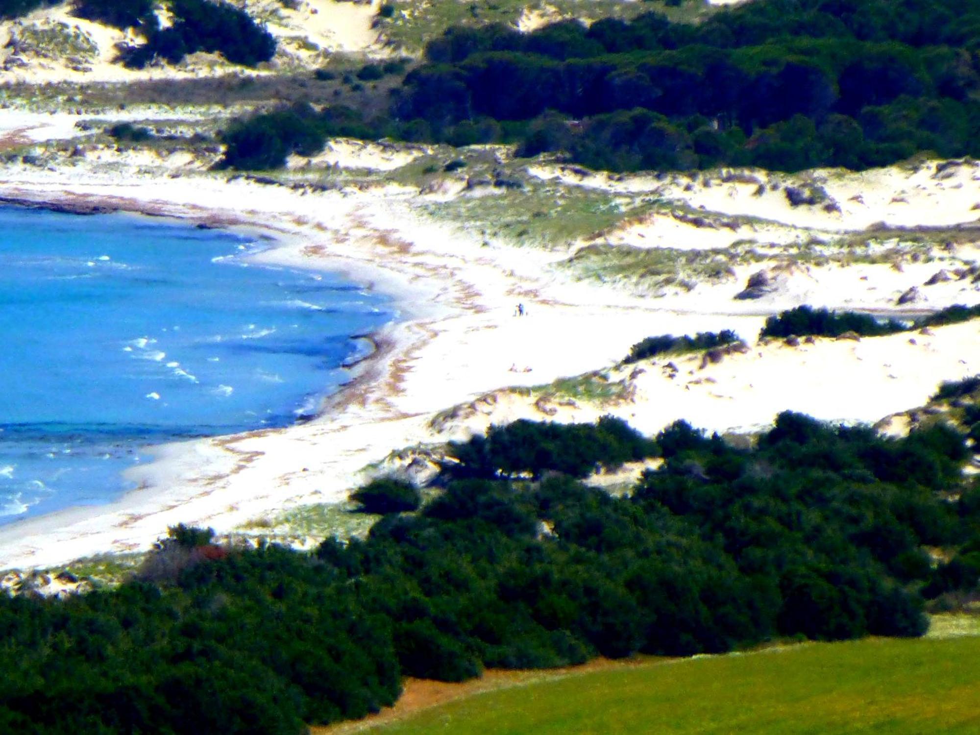 Comino Alto Agriturismo E Appartamenti Siniscola Esterno foto