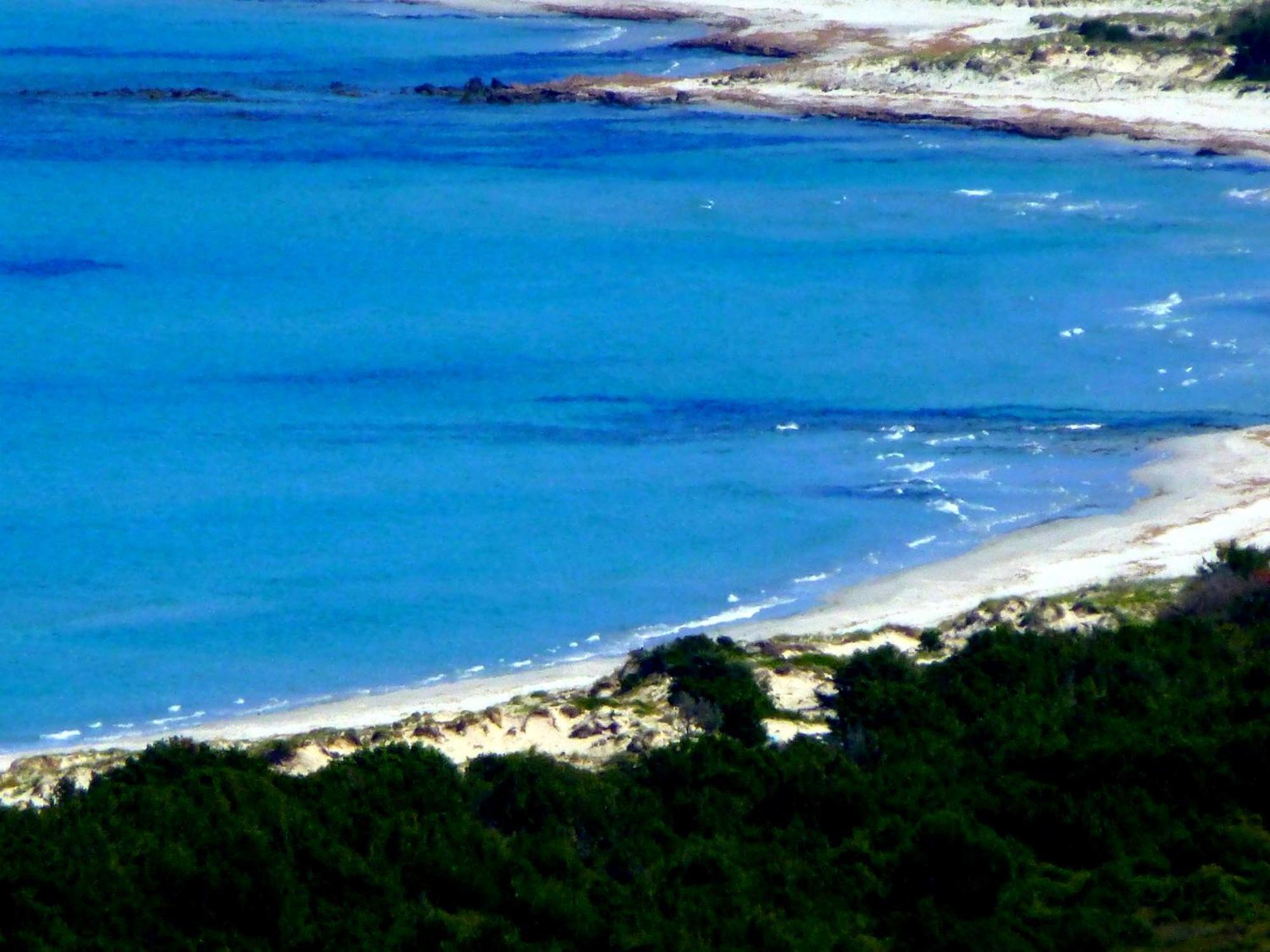 Comino Alto Agriturismo E Appartamenti Siniscola Esterno foto