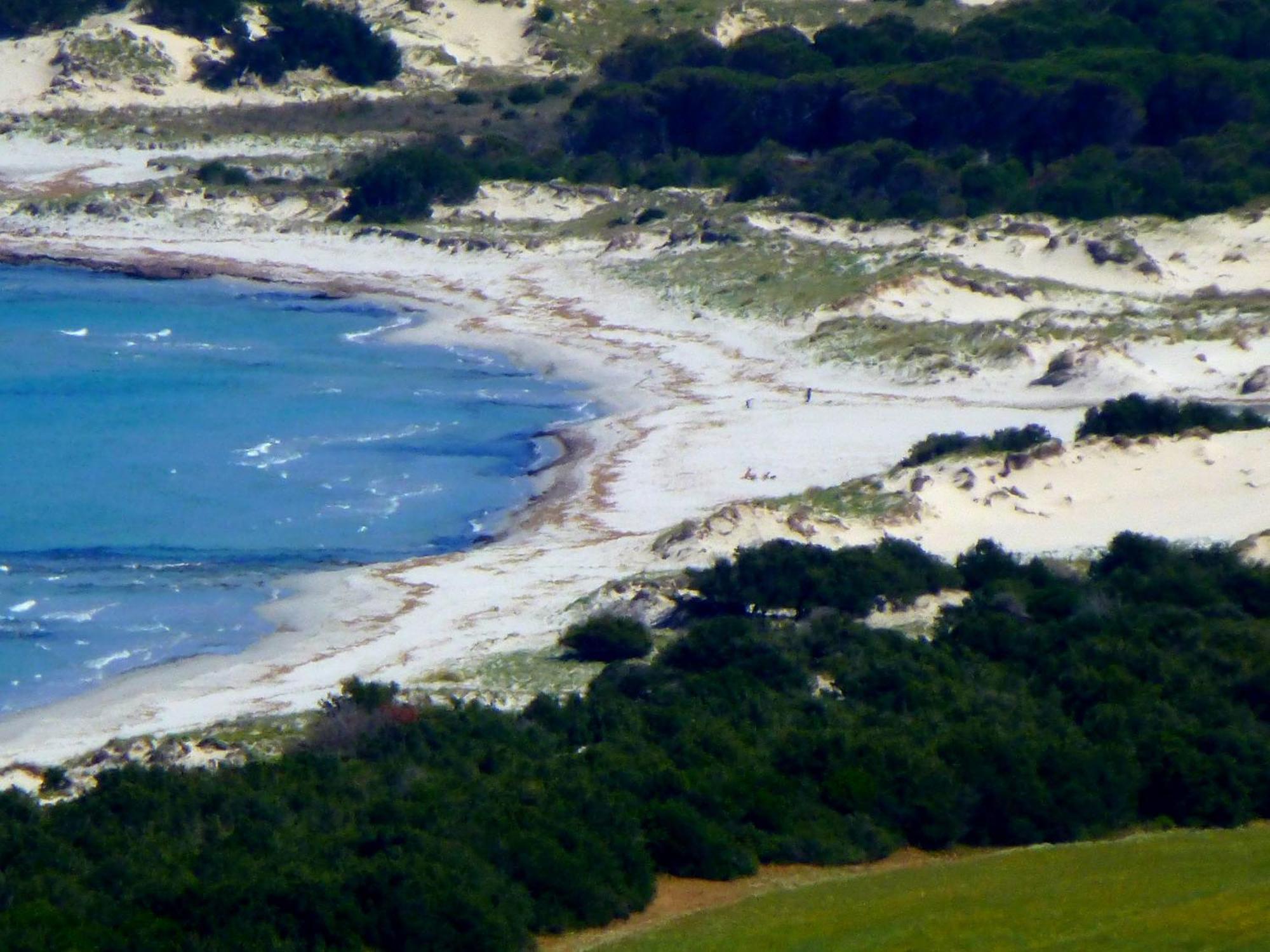 Comino Alto Agriturismo E Appartamenti Siniscola Esterno foto
