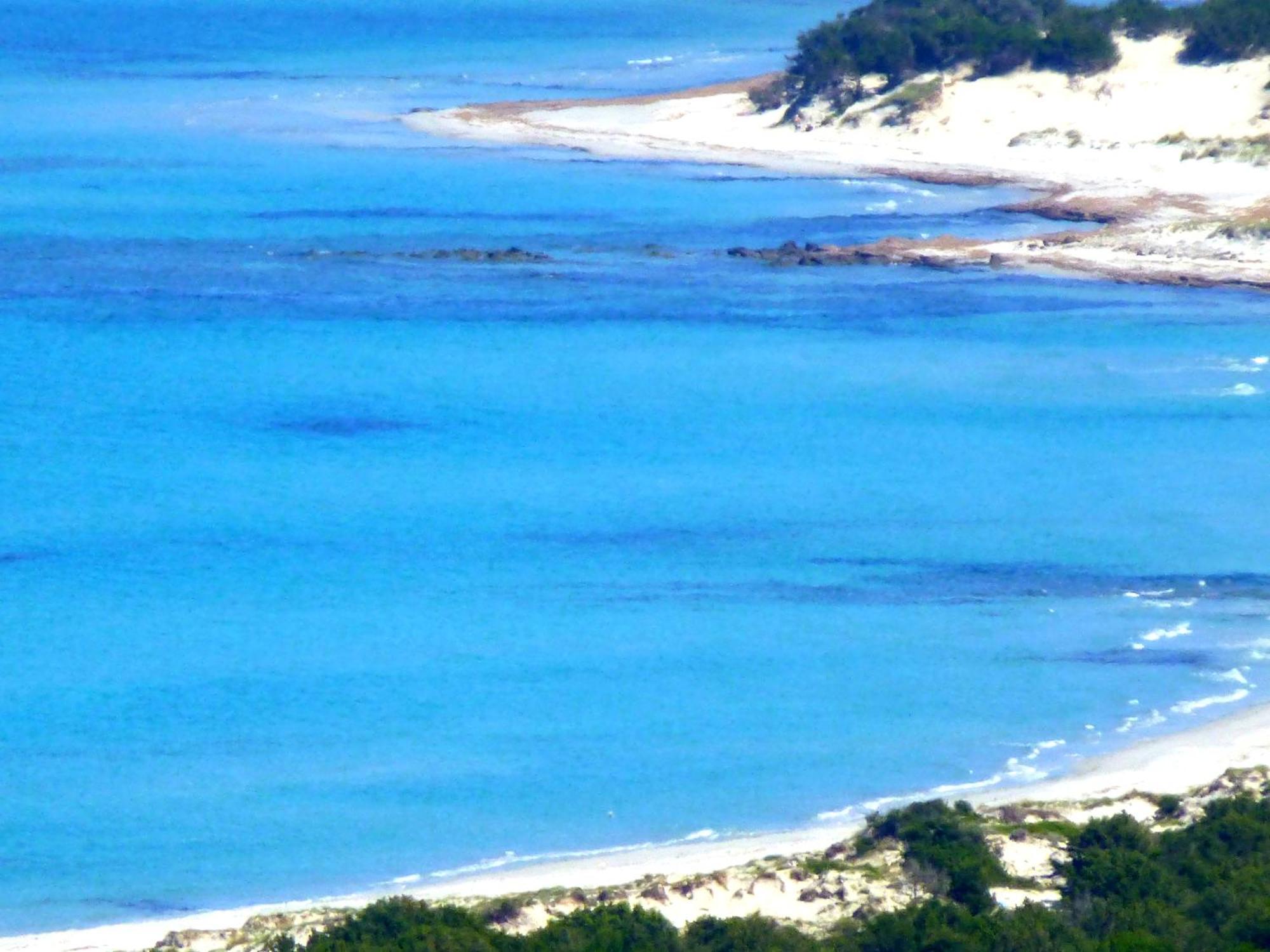 Comino Alto Agriturismo E Appartamenti Siniscola Esterno foto