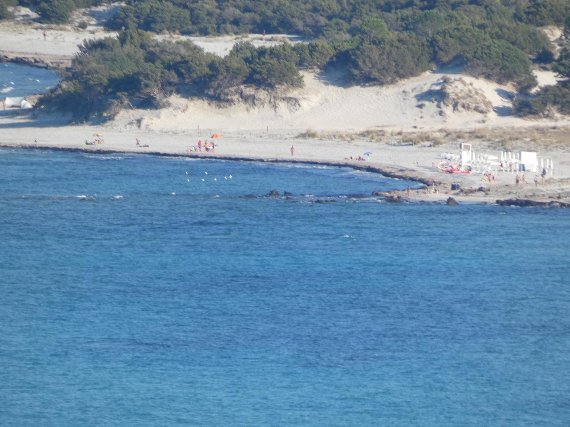 Comino Alto Agriturismo E Appartamenti Siniscola Esterno foto