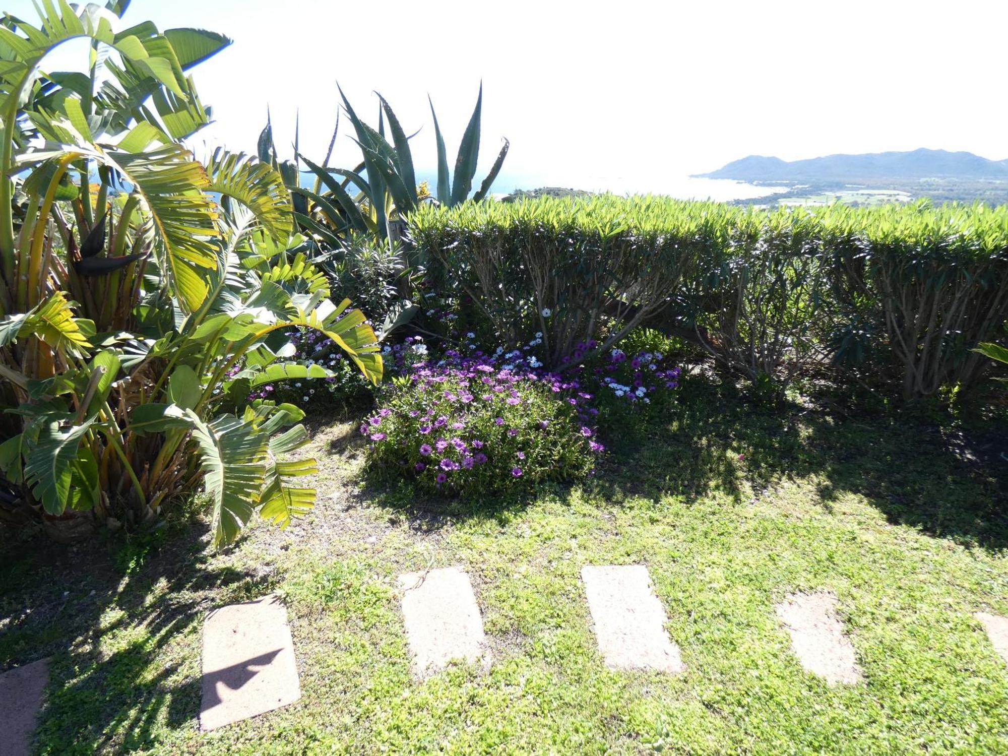 Comino Alto Agriturismo E Appartamenti Siniscola Esterno foto