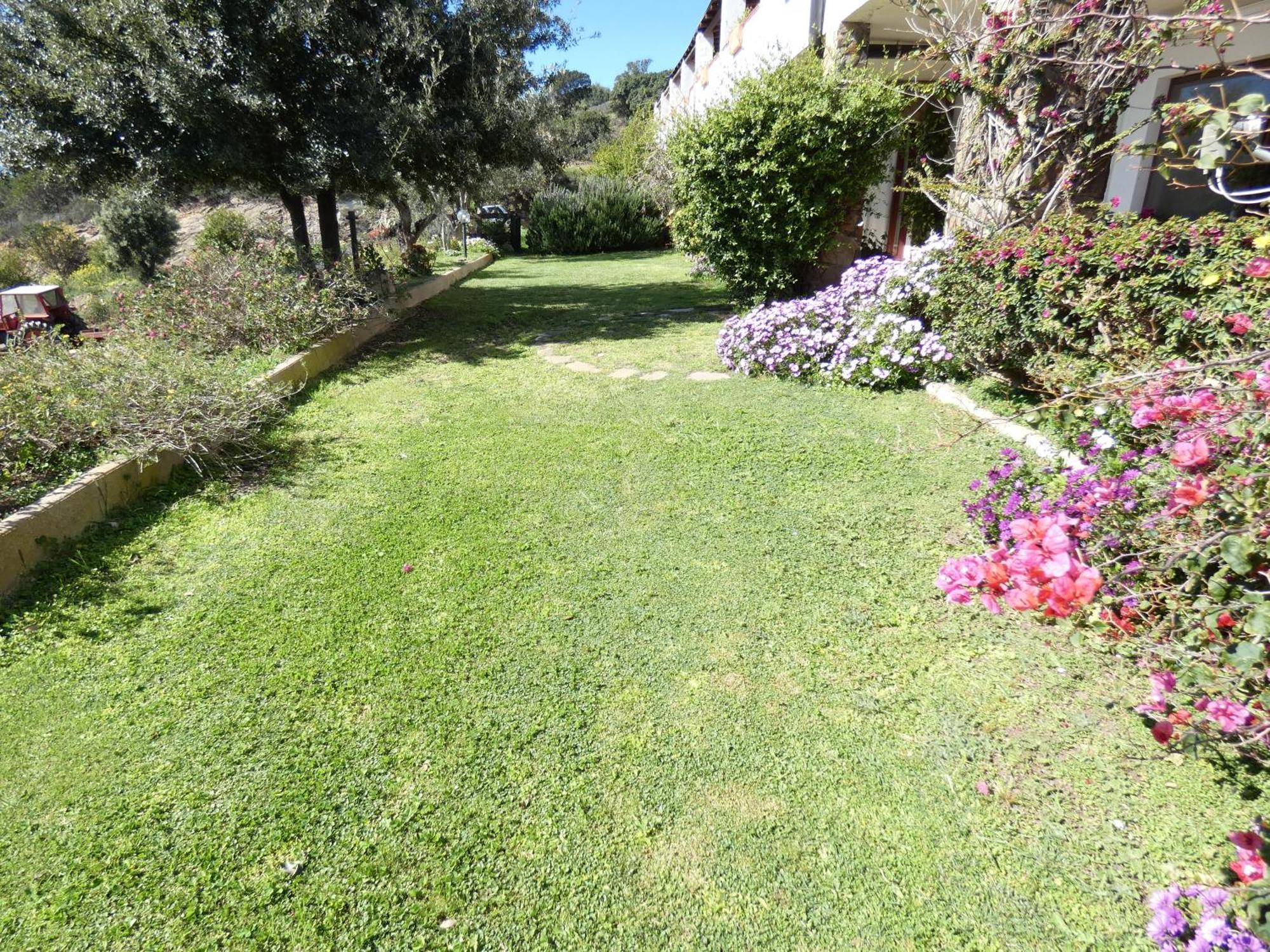 Comino Alto Agriturismo E Appartamenti Siniscola Esterno foto